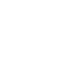Projektmanagement &  -steuerung